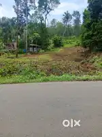 LAND FOR SALE in Kunnamthanam, Thiruvlla