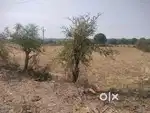 जमीन बेचना है डेढ़ बीघा