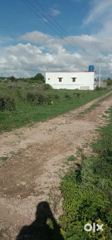 Best site for investment (panappatti)