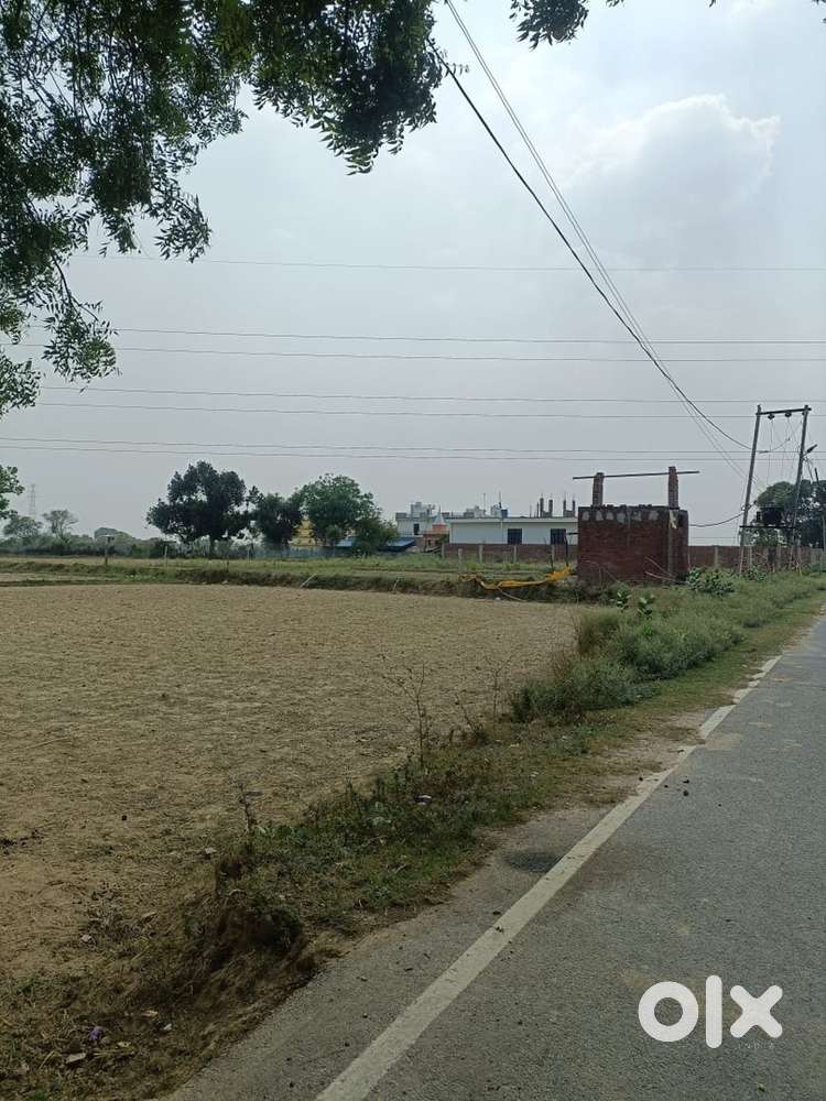 Sahi jamin hai aur mere naam ki jamin hai koi dikkat nahi hai