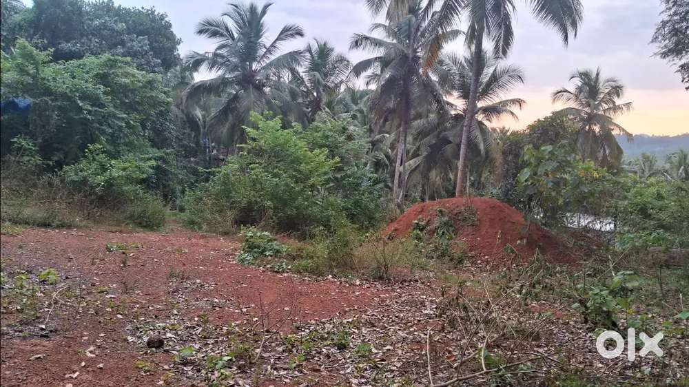 Land for sale, Best place for a House. 25 Cent. Best Affordable price.