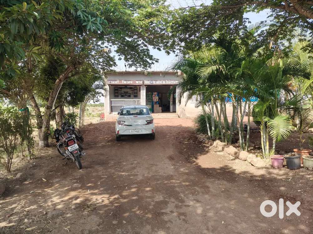 Need waiter for restaurant/bar