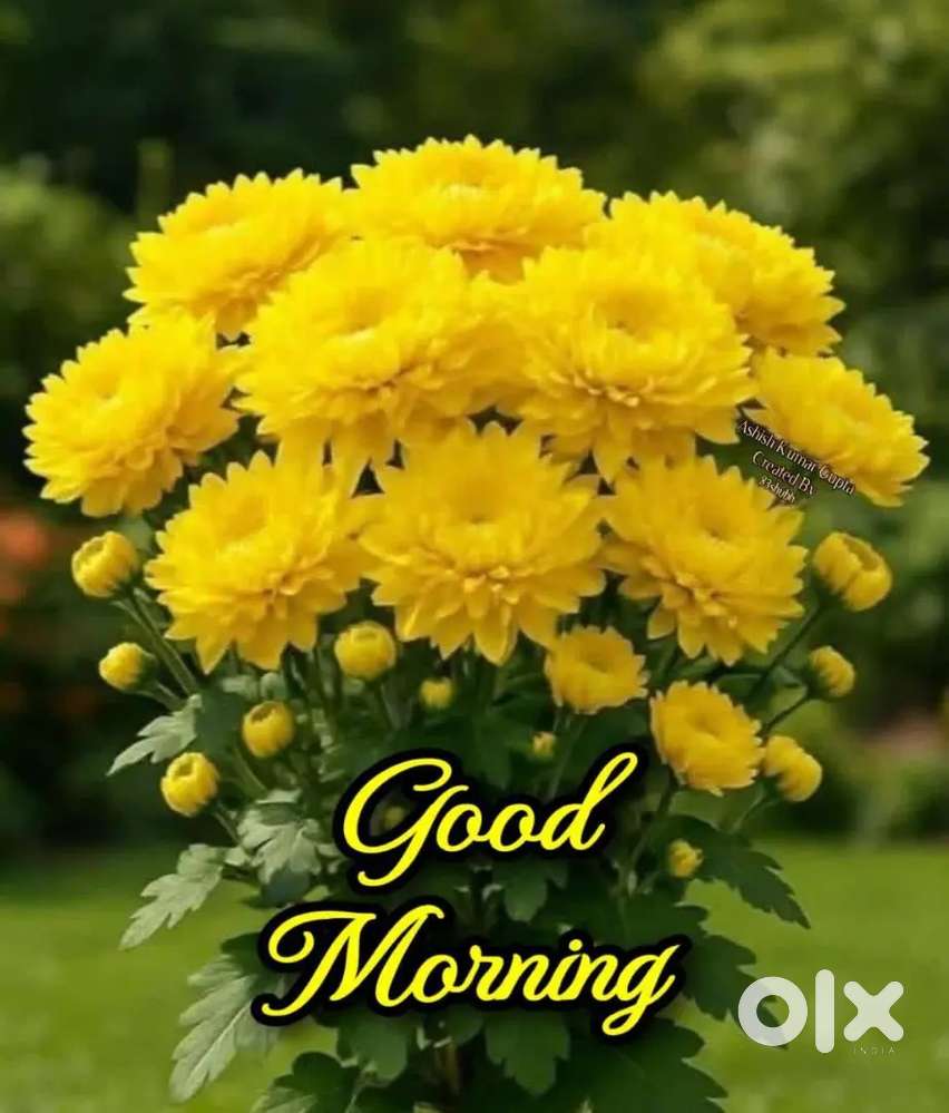 Need a girls/ ladies for house work