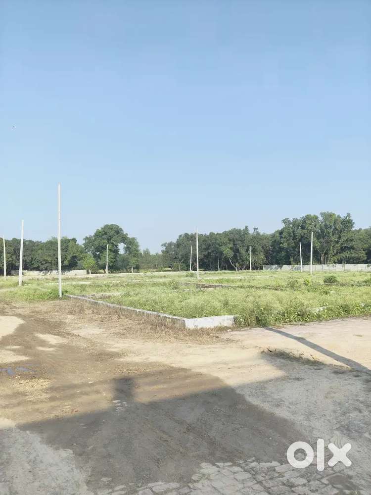 Al types plots available in lucknow