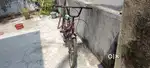 Bsa with carrier