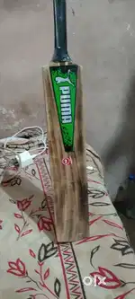 Cricket. Bat.