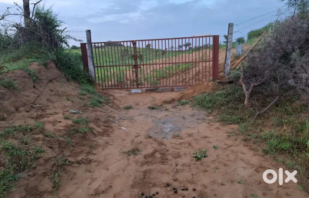 18 bigha land near NH11 near mandawa  Jhunjhunu  rajasthan