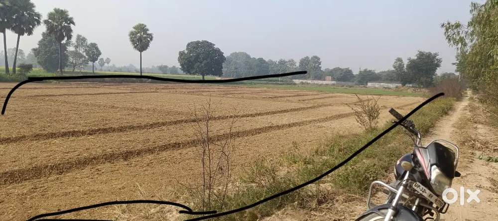 4 Bigha 5 biswa ramdaspur harauni Lucknow