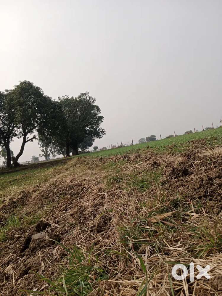 Bechna h 2 Ekad jamin sewania omkara