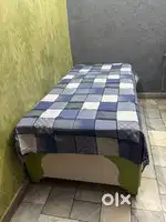 Single bed/ Dewan for sale