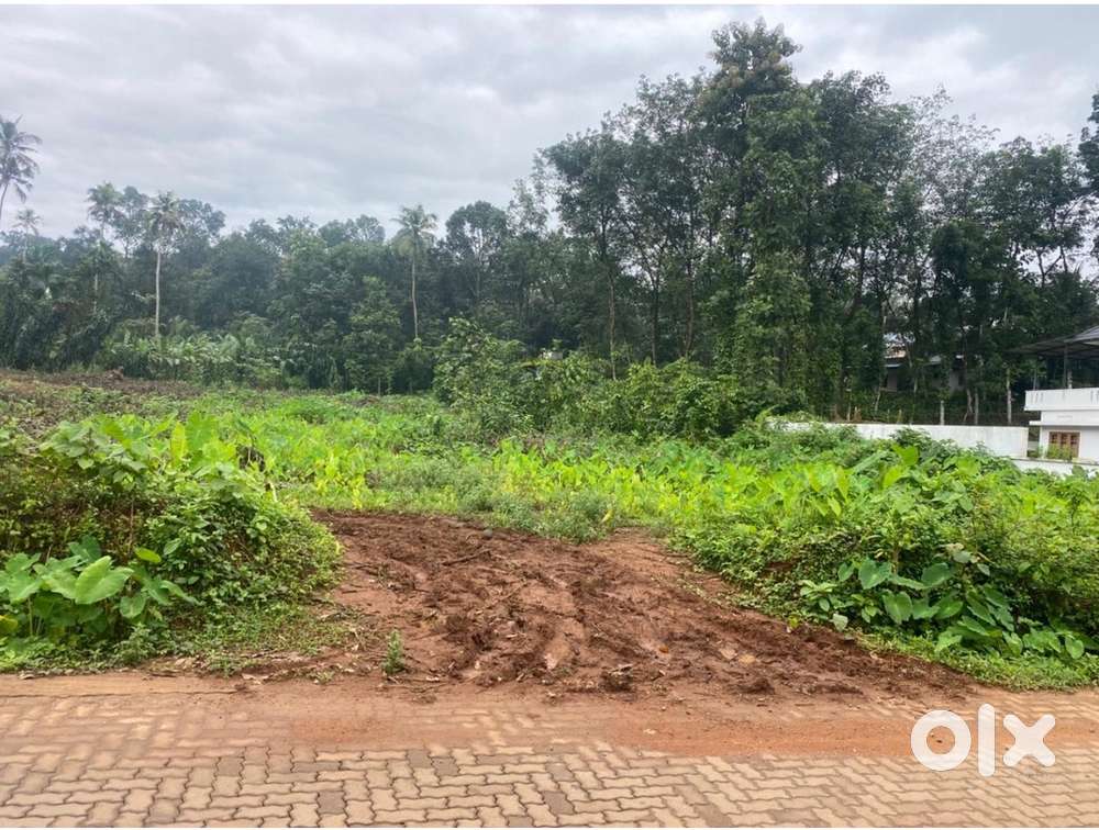 Residential or commercial property near thodupuzha