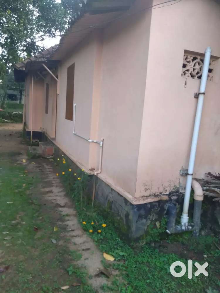 House for rent near karamvely