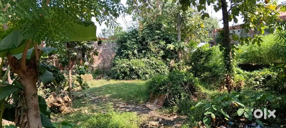 Plot on pipraich hata main road