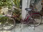Ladies Cycle