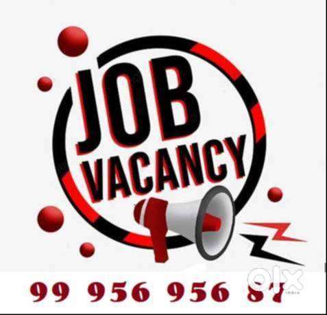 ADMIN/TELECALLING