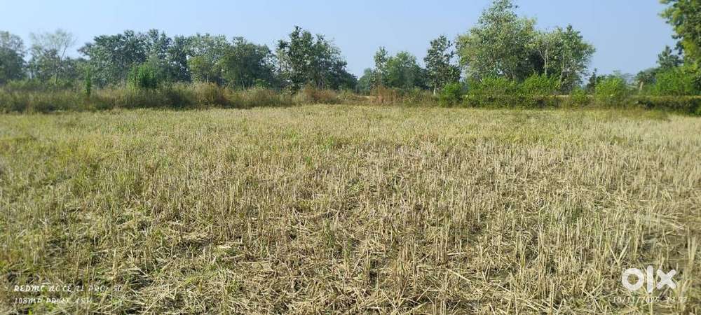 Jisko lena hai vhi msg kre