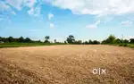 Require 25 cent land for 20 years lease