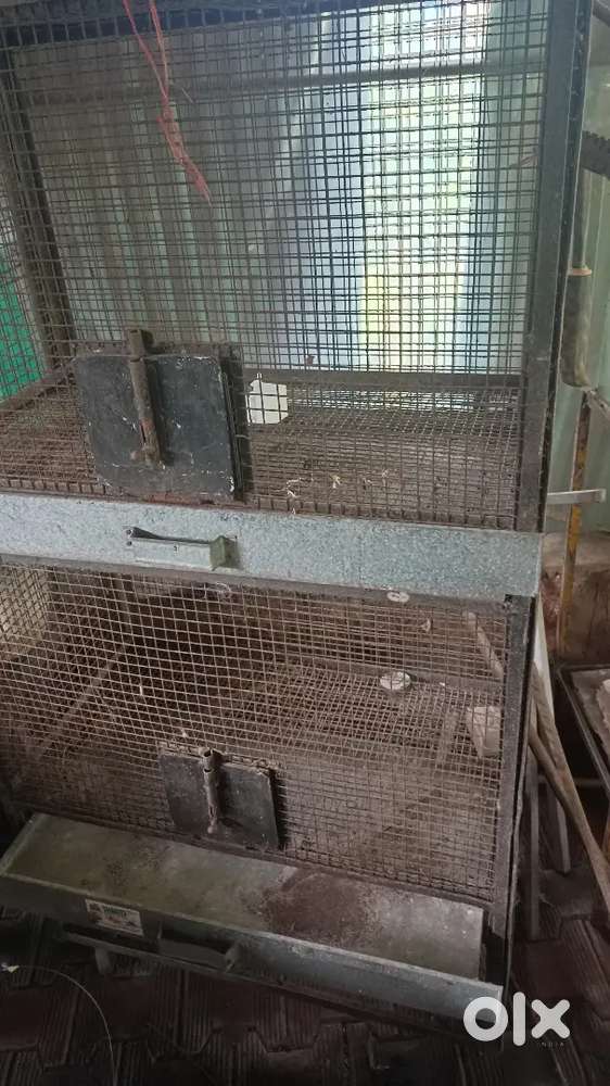 Exhibition cage