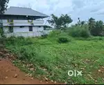 6cent plot for sale in mullassery