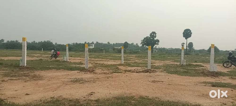 திருப்பரங்குன்றம் நிலையூர்