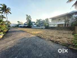 3 AND MORE CENT ORGINAL LAND IN KONGORPILLY junction near