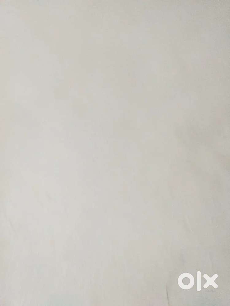 I will do any typeing work under 99rs. just text me