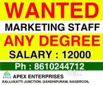Marketing Executive Staff