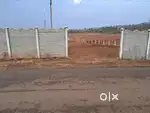 Pargi Half acre(20 guntas) land on BT road only 3.25 Lakhs for 1 gunta