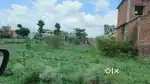 Plot for sale in parwati vihar