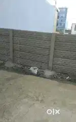 Laxami Niwas T&C Colony( Lodhipara Sarkanda Bilaspur) me Residenci