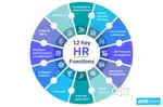 Accounts Trainee