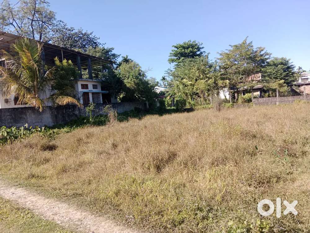 2 katha land Urgent Sale in Dibrugarh