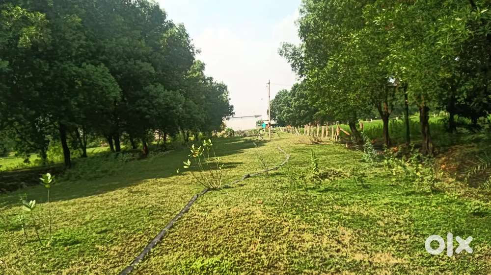 Plot for sale in thelladevarapadu, G.konduru mandal 99.6 square