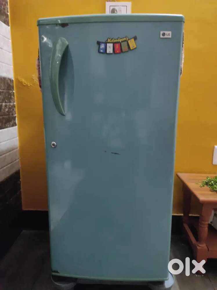 LG fridge single door
