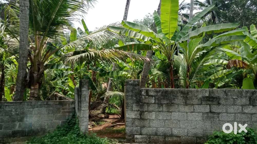 32-Cent plot for sale near parasuvaikkal