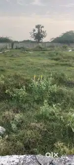 CMDA APPROVAL PLOT FOR SALE