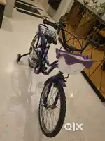 Hero cycle 20 inch tyre.