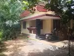 900m from chelannur block panchayath,and bus stop