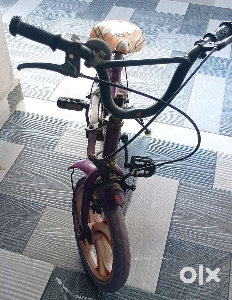 Alwyn cycle
