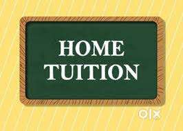 Required home tutor for 5th class kid