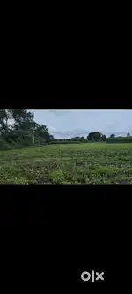 Farmland for Sale- 5 acre at Dhotri, Solapur