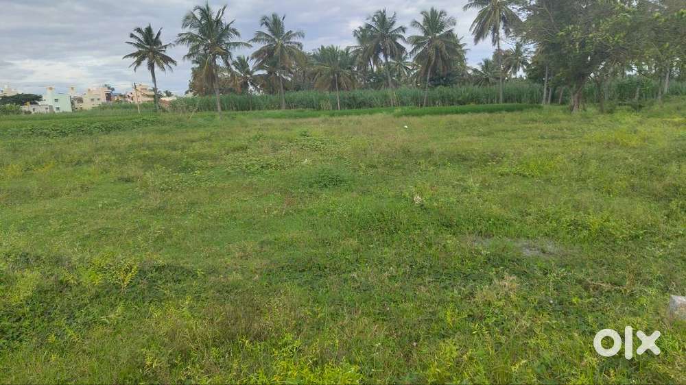 13 guntas land for sale near yathagdhalli mandya
