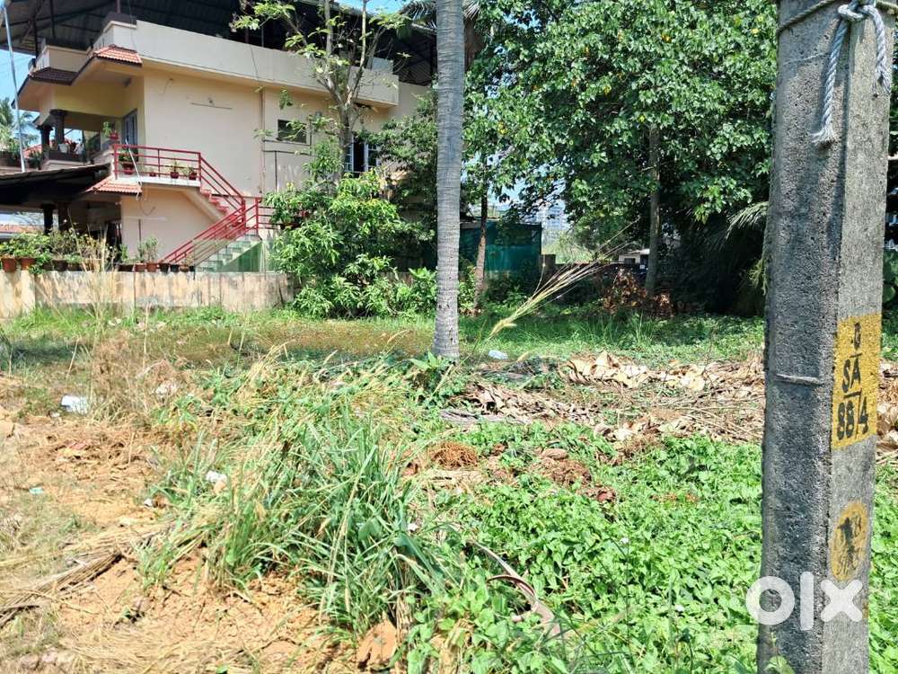 5.50 to 18 Cents of Residential Plots near Elamkulam , Kadavanthra