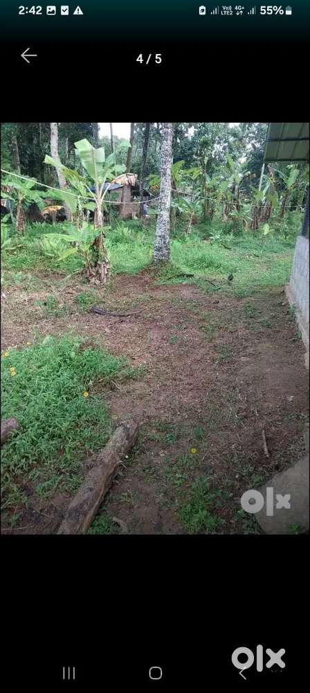 19 സെന്റ് പുരയിടം വില്പനക്ക്, പുറ്റുമൻകര, കൈതക്കോട്, കുണ്ടറ, കൊല്ലം