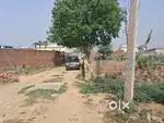 150 guj plot Near New Sbji Mndi Snpt Rd Gohana