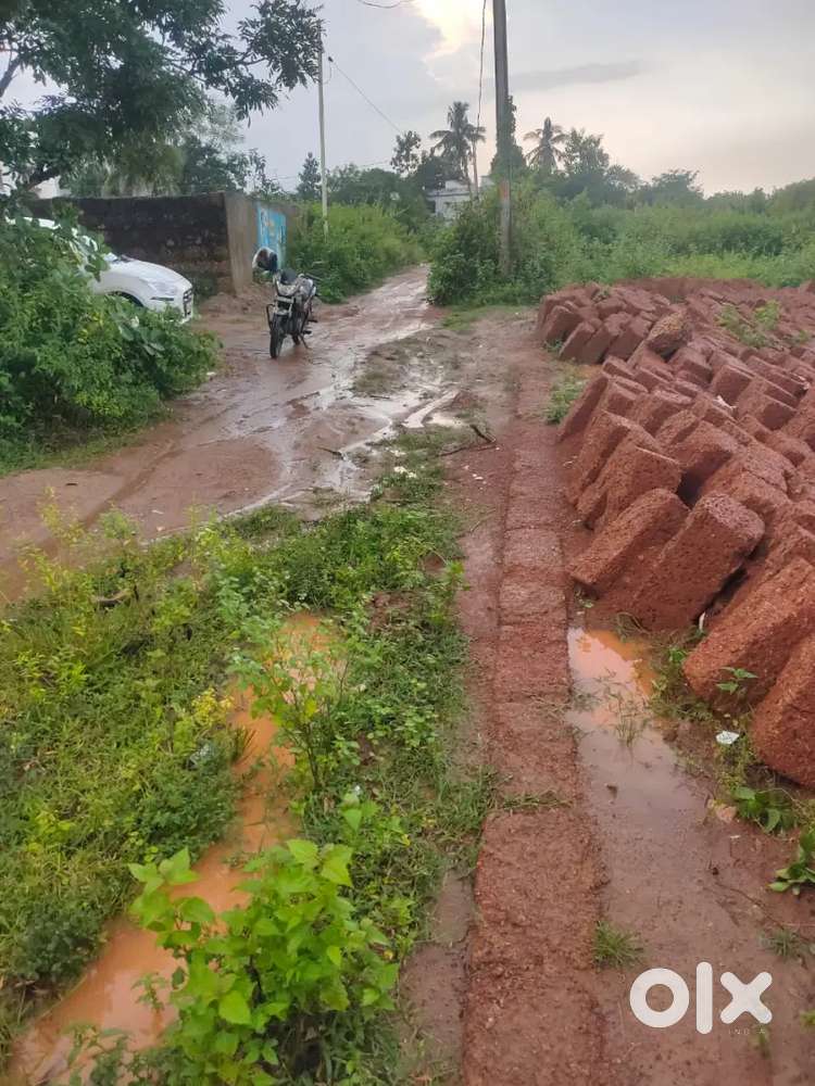 My won land for sale