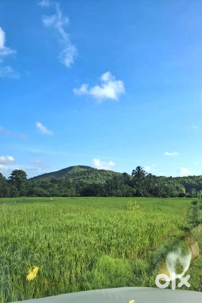 25 gunta for sale in Ankola