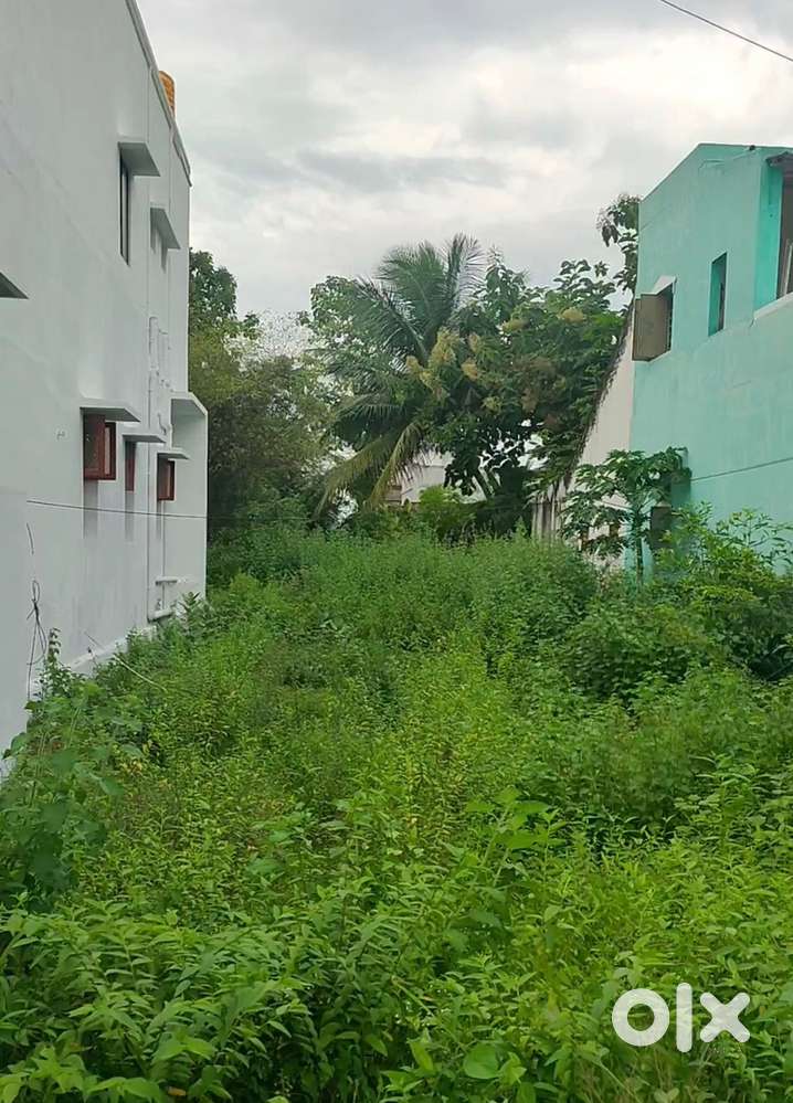 Residential Plot for Sale in Uppupettai, Arcot – Patta Land