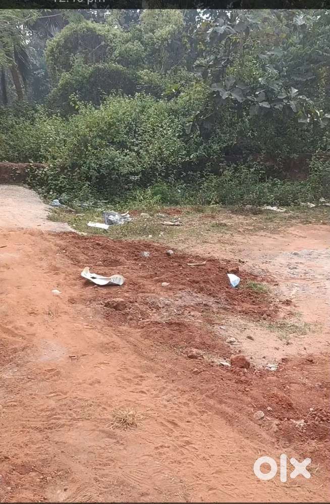 Plot for sell patia near patharagadia