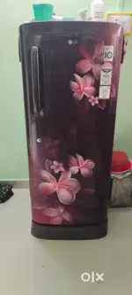 LG 235 Liter 4 STAR SMART INVERTOR REFRIGERATOR